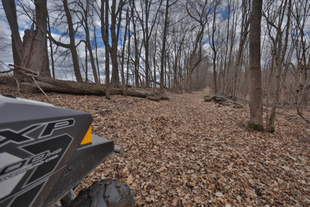 Hunting Land for Sale in Richland County, Wisconsin - image 5