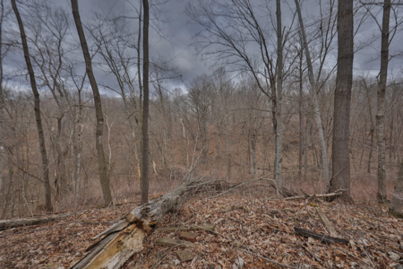 Hunting Land for Sale in Richland County, Wisconsin - image 34