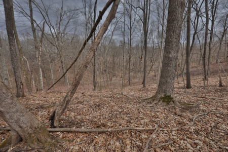 Hunting Land for Sale in Richland County, Wisconsin - image 36