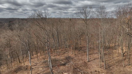 Hunting Land for Sale in Richland County, Wisconsin - image 14