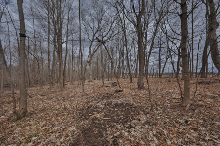 Hunting Land for Sale in Richland County, Wisconsin - image 35