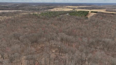 Hunting Land for Sale in Richland County, Wisconsin - image 20