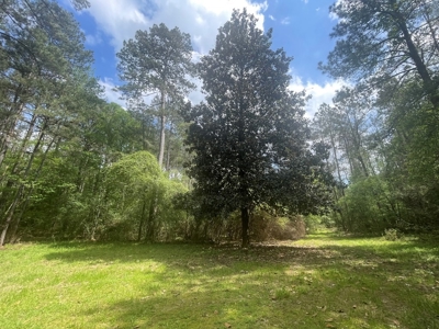 Amite County 38.6 Acres For Sale - image 11