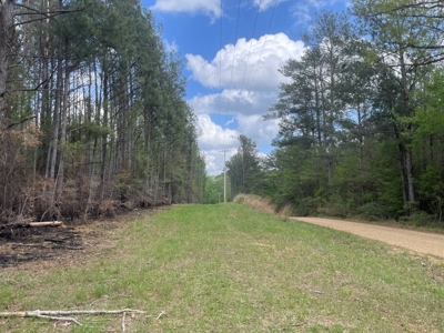 Amite County 38.6 Acres For Sale - image 3