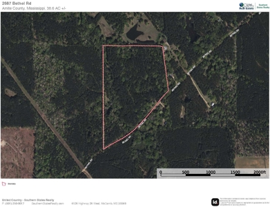 Amite County 38.6 Acres For Sale - image 18