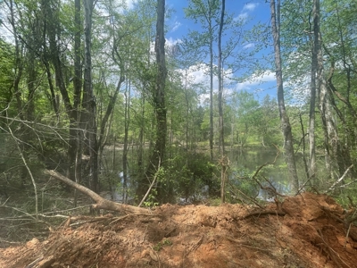 Amite County 38.6 Acres For Sale - image 5