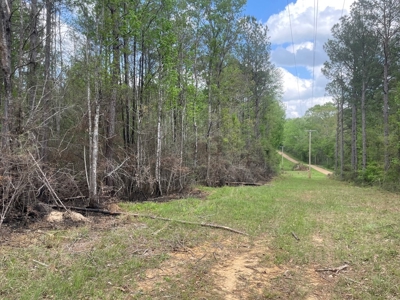 Amite County 38.6 Acres For Sale - image 2