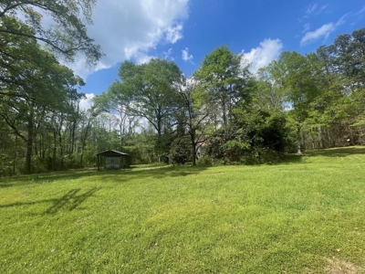 Amite County 38.6 Acres For Sale - image 1