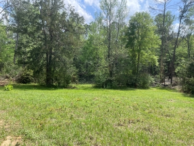 Amite County 38.6 Acres For Sale - image 14