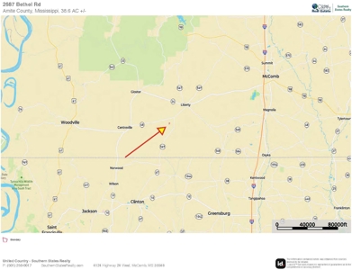 Amite County 38.6 Acres For Sale - image 17