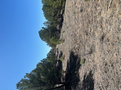 35.18 Acres of Mountain Land for Sale in Cotopaxi, Colorado! - image 3
