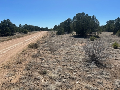 35.18 Acres of Mountain Land for Sale in Cotopaxi, Colorado! - image 10
