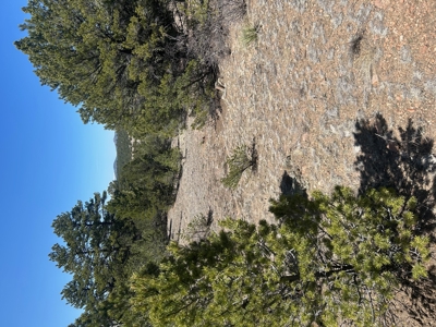 35.18 Acres of Mountain Land for Sale in Cotopaxi, Colorado! - image 9