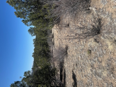 35.18 Acres of Mountain Land for Sale in Cotopaxi, Colorado! - image 6