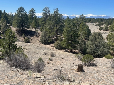 35.18 Acres of Mountain Land for Sale in Cotopaxi, Colorado! - image 8