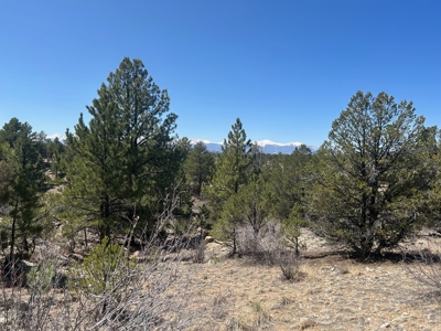 35.18 Acres of Mountain Land for Sale in Cotopaxi, Colorado! - image 4