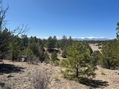 35.18 Acres of Mountain Land for Sale in Cotopaxi, Colorado! - image 5