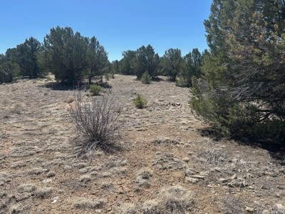 35.18 Acres of Mountain Land for Sale in Cotopaxi, Colorado! - image 11