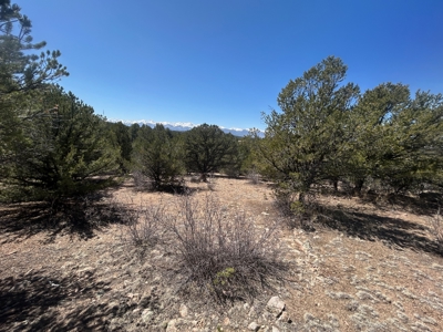 35.18 Acres of Mountain Land for Sale in Cotopaxi, Colorado! - image 7