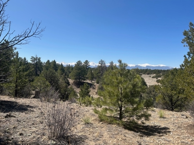 35.18 Acres of Mountain Land for Sale in Cotopaxi, Colorado! - image 1