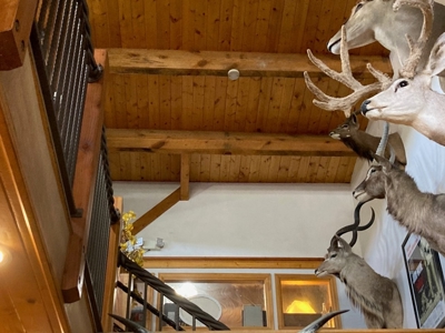 Own the True Grit Café in Ridgway, CO! - image 14