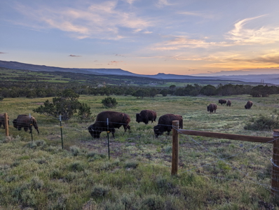 Home, Shop, Acreage with Ponds For Sale on Western Slope Colorado - image 43
