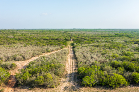 360± Acre High-Fenced Game Ranch – Jim Wells County, TX - image 44