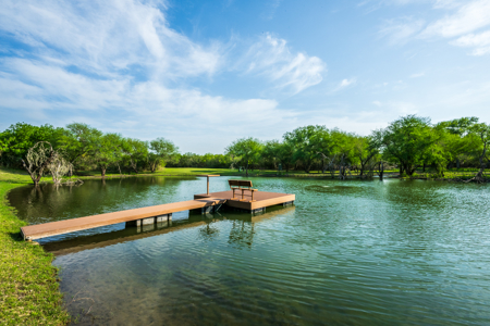 360± Acre High-Fenced Game Ranch – Jim Wells County, TX - image 19