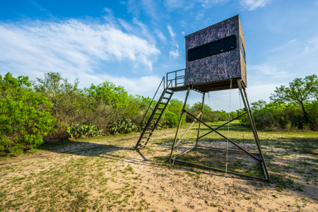 360± Acre High-Fenced Game Ranch – Jim Wells County, TX - image 21