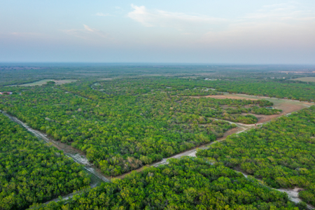 360± Acre High-Fenced Game Ranch – Jim Wells County, TX - image 32