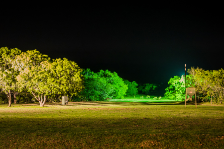 360± Acre High-Fenced Game Ranch – Jim Wells County, TX - image 35