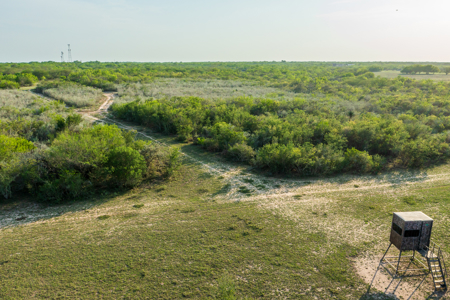 360± Acre High-Fenced Game Ranch – Jim Wells County, TX - image 26