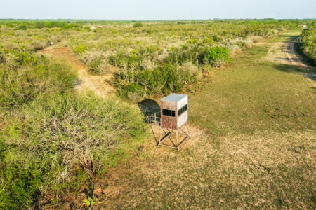 360± Acre High-Fenced Game Ranch – Jim Wells County, TX - image 25