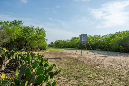 360± Acre High-Fenced Game Ranch – Jim Wells County, TX - image 20