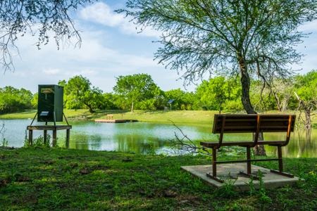 360± Acre High-Fenced Game Ranch – Jim Wells County, TX - image 17