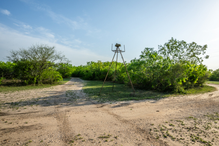 360± Acre High-Fenced Game Ranch – Jim Wells County, TX - image 23