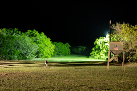 360± Acre High-Fenced Game Ranch – Jim Wells County, TX - image 39