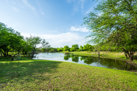 360± Acre High-Fenced Game Ranch – Jim Wells County, TX - image 16