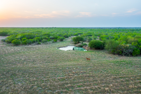 360± Acre High-Fenced Game Ranch – Jim Wells County, TX - image 33