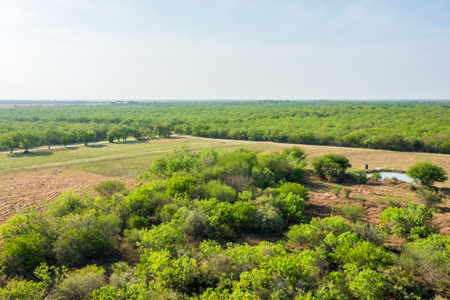 360± Acre High-Fenced Game Ranch – Jim Wells County, TX - image 46