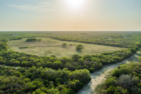 360± Acre High-Fenced Game Ranch – Jim Wells County, TX - image 30