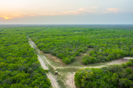 360± Acre High-Fenced Game Ranch – Jim Wells County, TX - image 34
