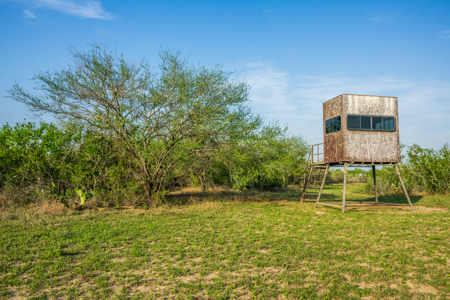 360± Acre High-Fenced Game Ranch – Jim Wells County, TX - image 27