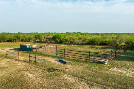 360± Acre High-Fenced Game Ranch – Jim Wells County, TX - image 29