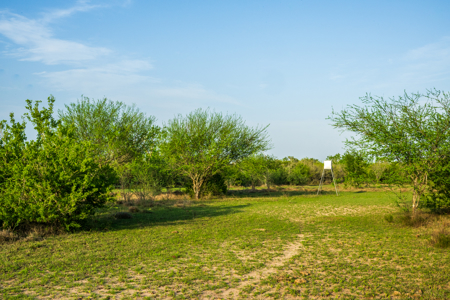 360± Acre High-Fenced Game Ranch – Jim Wells County, TX - image 31