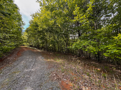 Wooded Lot for Sale in Moravian Falls NC! - image 12