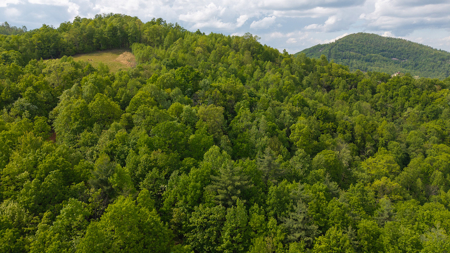 Wooded Lot for Sale in Moravian Falls NC! - image 1