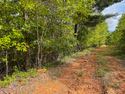 Wooded Lot for Sale in Moravian Falls NC! - image 4