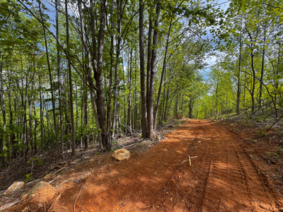Wooded Land for Sale in Moravian Falls NC! - image 26