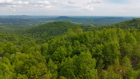 Wooded Land for Sale in Moravian Falls NC! - image 2